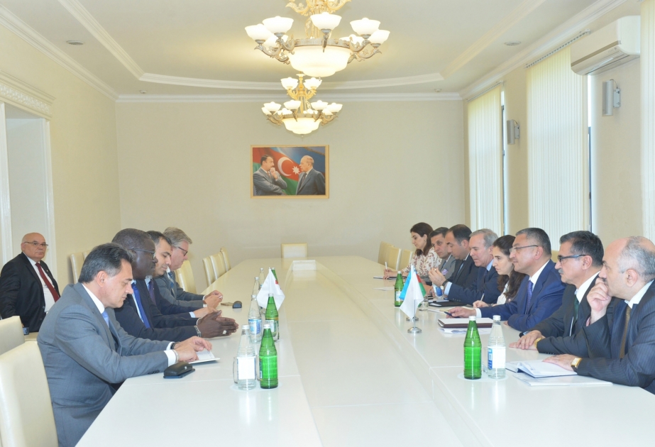 IFRC Secretary General: We are interested in further implementing IDP-related projects in Azerbaijan