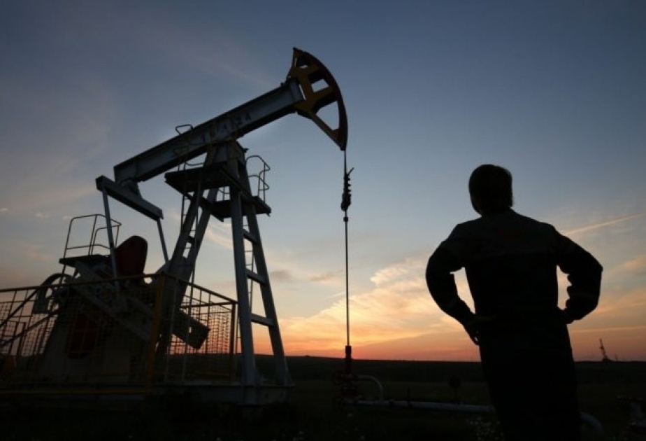 الشركة التشيكية تعتزم الكشف عن النفط في تركيا