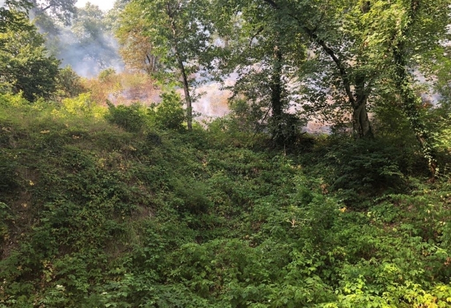 Территория в Ярдымлинском районе, где произошел пожар, находится под контролем