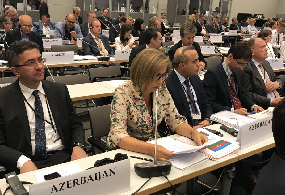 Руководитель делегации Милли Меджлиса выступила на сессии ПА ОБСЕ