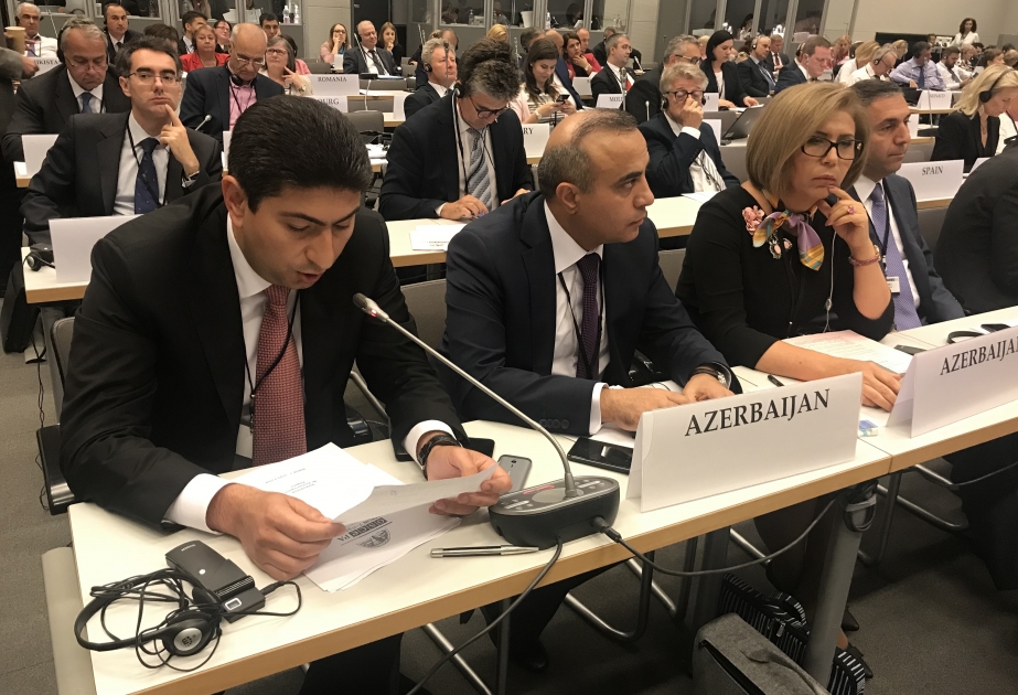 На заседании Общего комитета ПА ОБСЕ армянская делегация проявила полную беспомощность и растерянность ВИДЕО