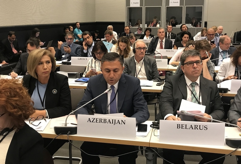 ATƏT PA-nın sessiyasında azərbaycanlı deputat kibertəhlükəsizlik sahəsində təhdidlərin olduğunu göstərib VİDEO