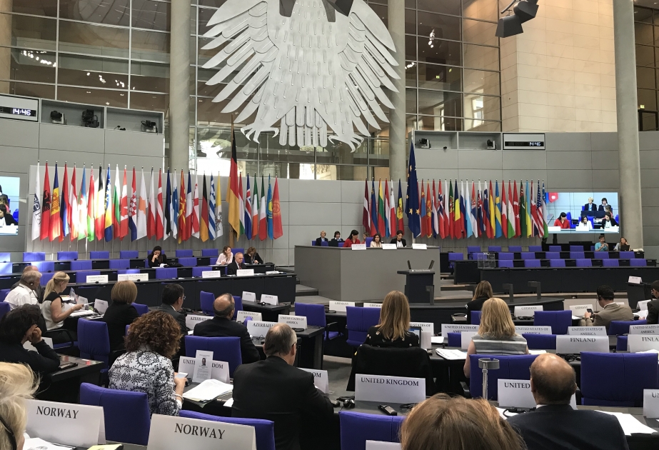 На сессии ПА ОБСЕ отвергнута армянская поправка к проекту резолюции