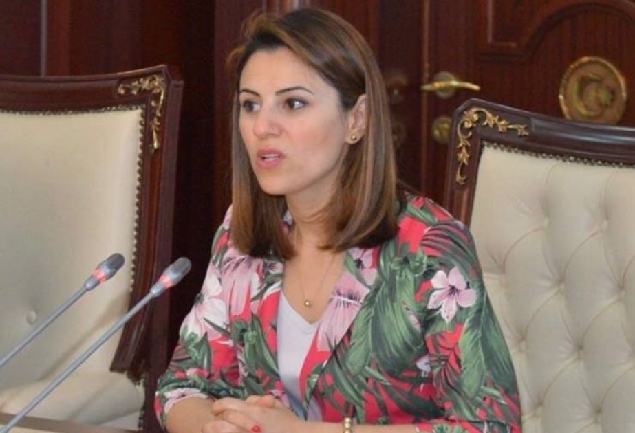 Sevinc Fətəliyeva: NATO Sammitinin yekun sənədində Azərbaycanın ərazi bütövlüyünün dəstəklənməsi növbəti diplomatik uğurumuzdur