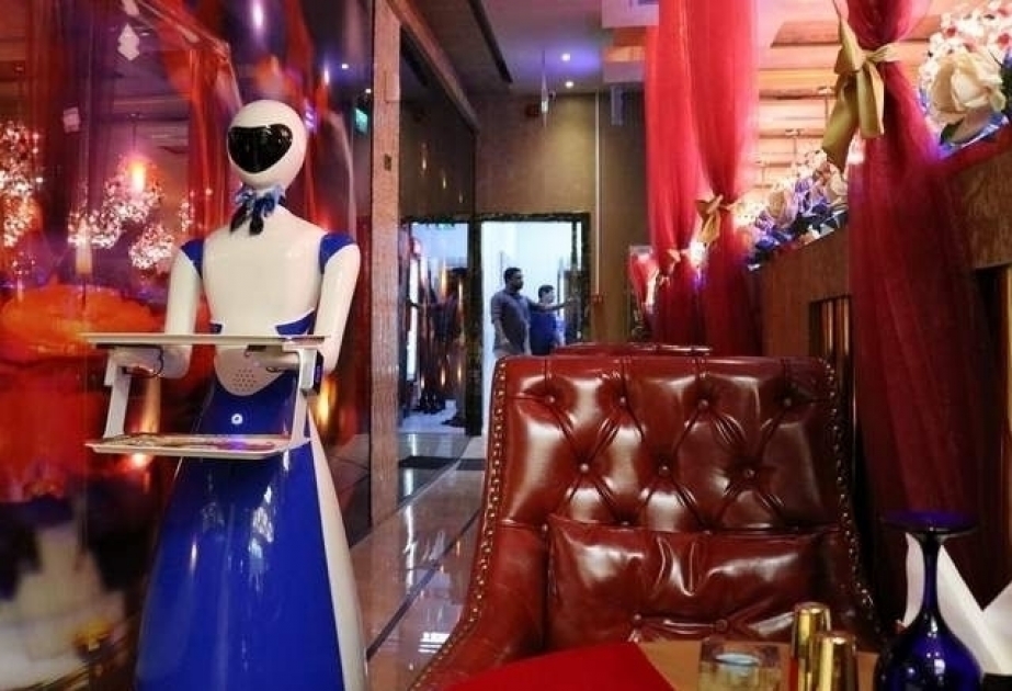 Dubay restoranında qonaqlara robot xidmət edir