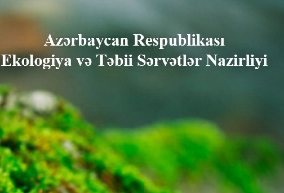 Ekologiya və Təbii Sərvətlər Nazirliyinin əməkdaşları respublika ərazisində növbəti reyd keçiriblər