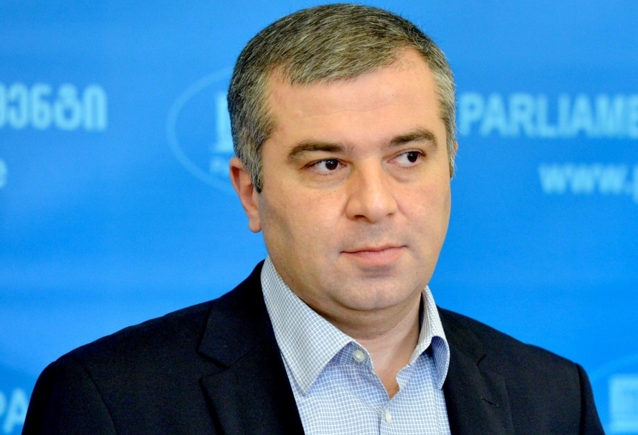 European Georgia presents Davit Bakradze as presidential candidate