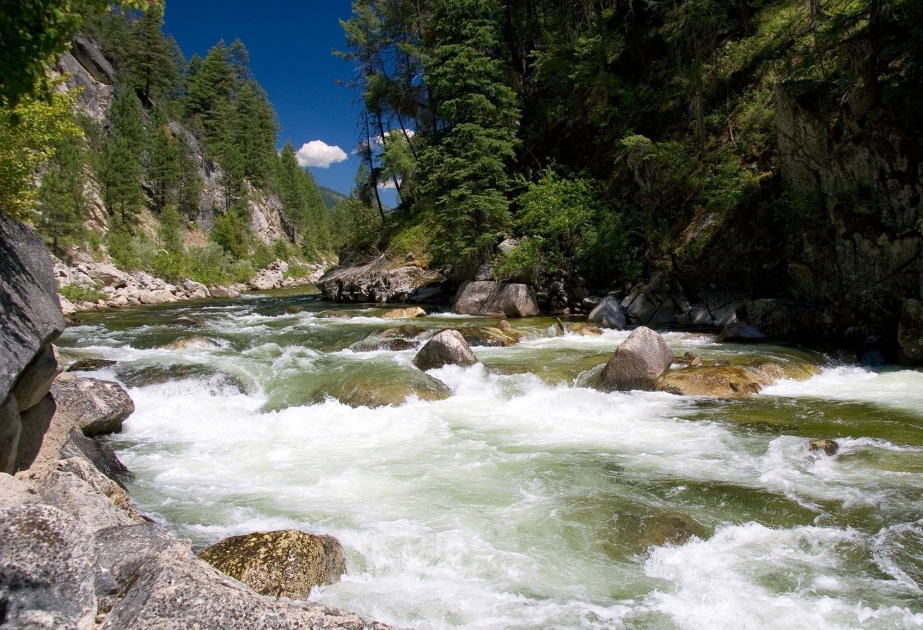 Kür çayında biogen maddələrin miqdarı normadan dəfələrlə artıq olub