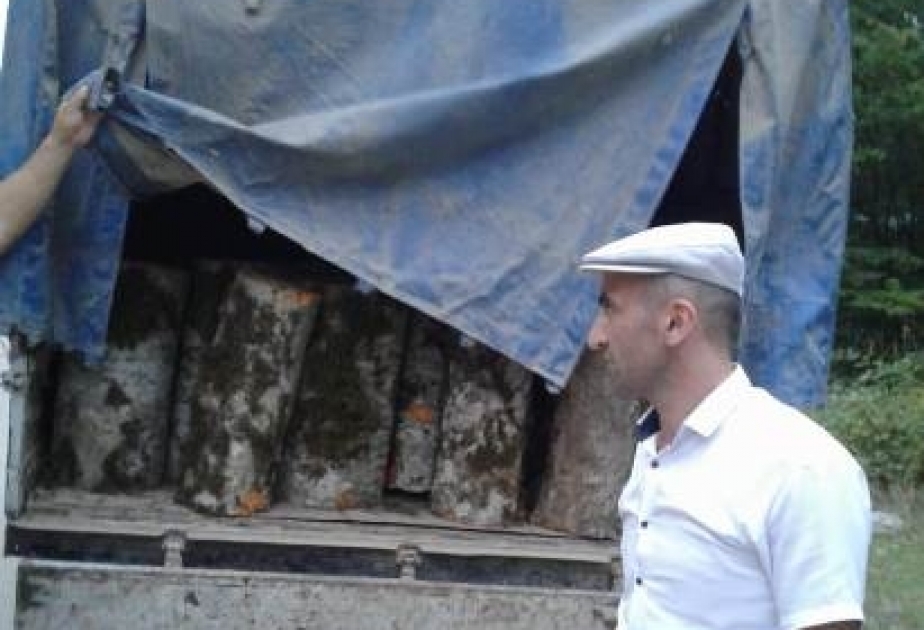 В Губинском районе обнаружены лесоматериалы, полученные незаконным путем