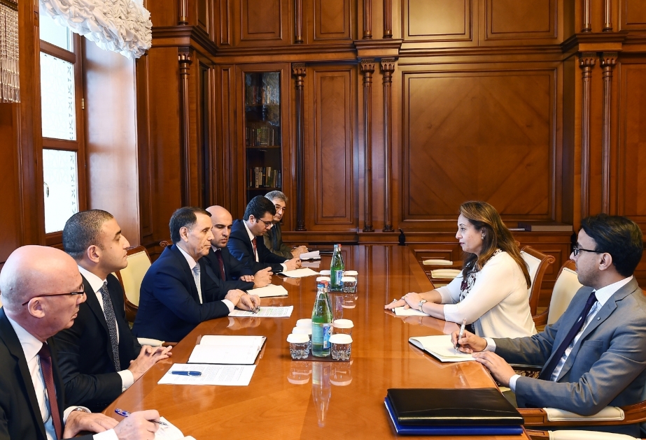 Azerbaijan, African Union discuss cooperation prospects
