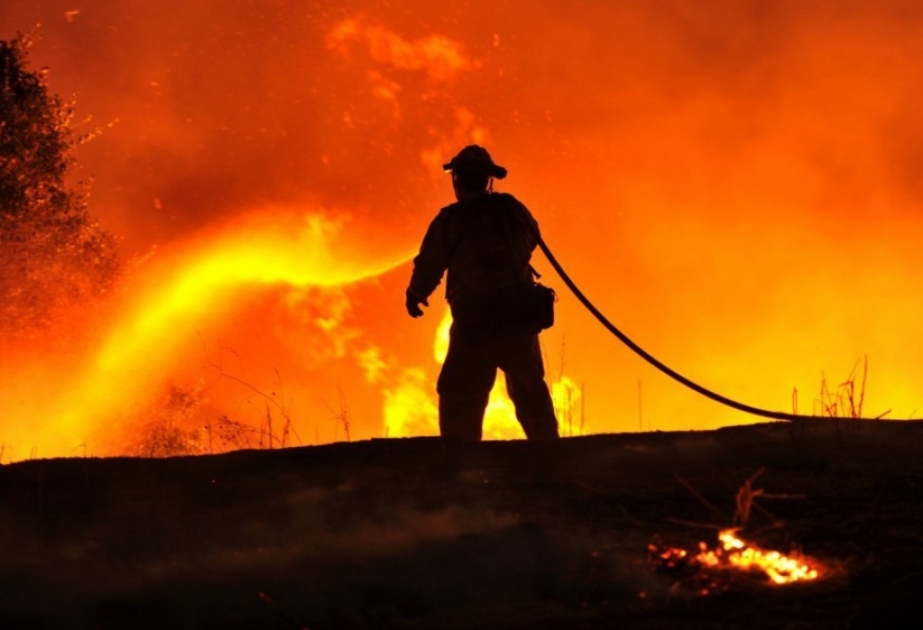 Kalifornien: Yosemite-Nationalpark wird wegen Waldbrand teilweise gesperrt