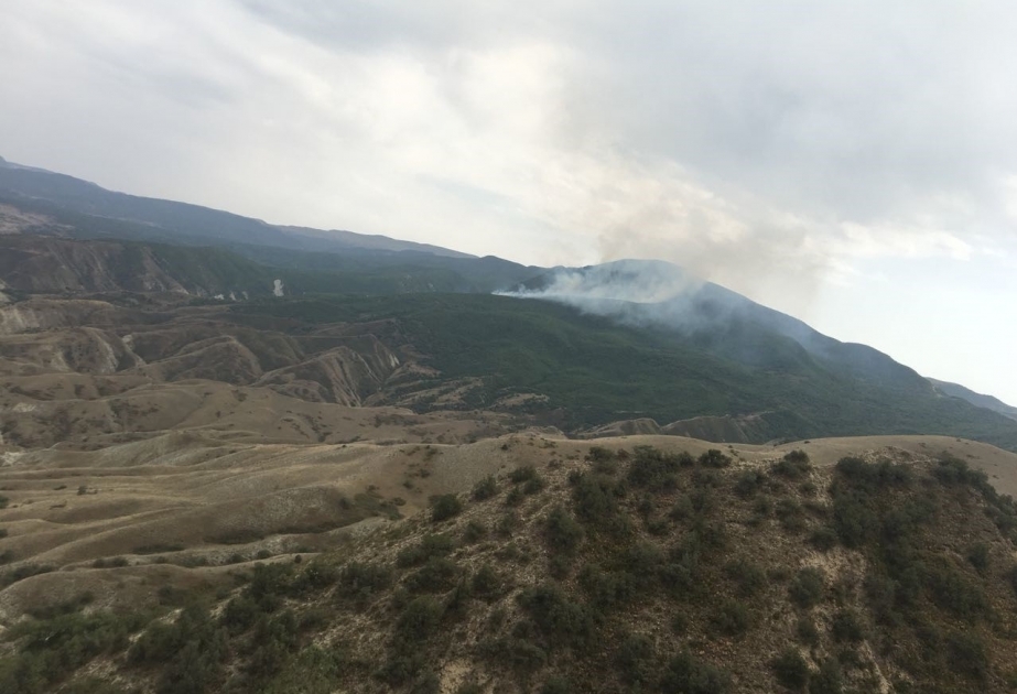 Пожар, начавшийся на сенокосном участке Сиязаньского района, перешел на территорию Алтыагаджского национального парка
