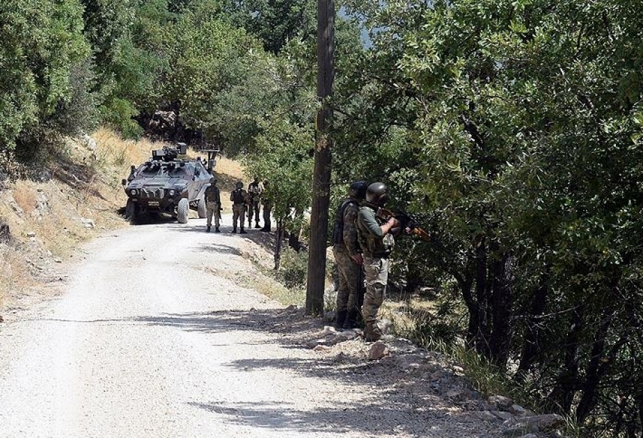 Ten terrorists neutralized in eastern Turkey