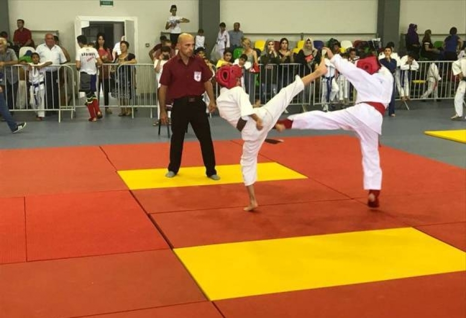 Budo döyüş növləri üzrə Bakı şəhər açıq turniri keçirilib