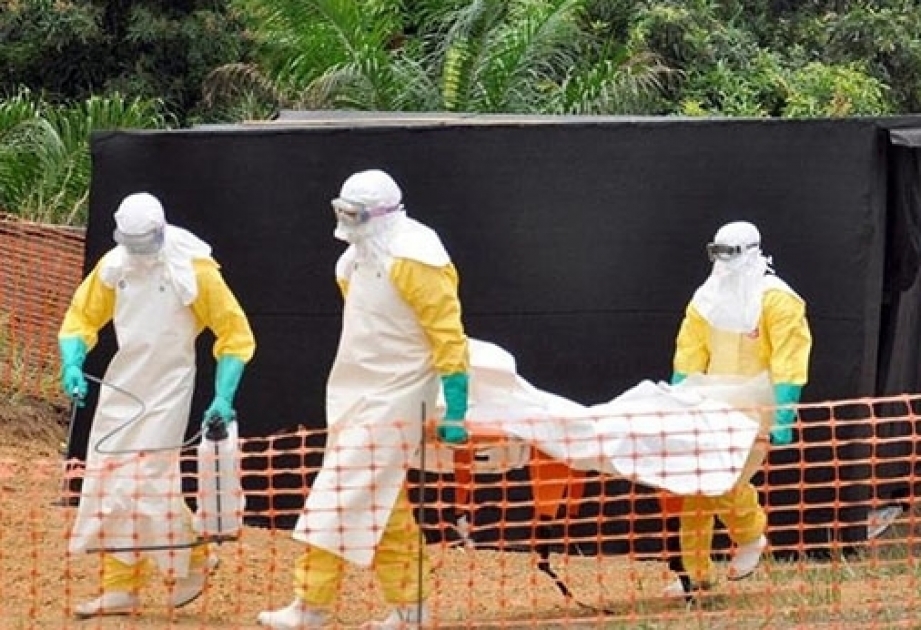Ebola-Epidemie wieder im Kongo
