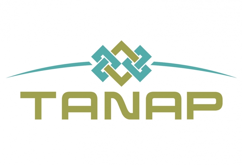 TANAP-ın ikinci fazası üzrə işlərin 85 faizi tamamlanıb