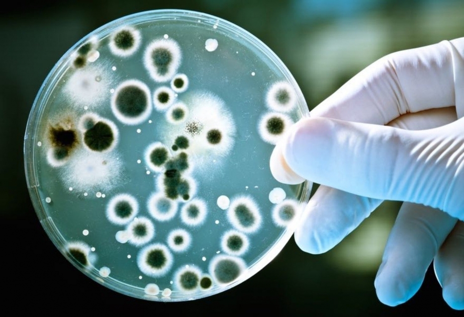Dezinfeksiyaedici vasitələr bakteriyalara təsirini itirmək üzrədir