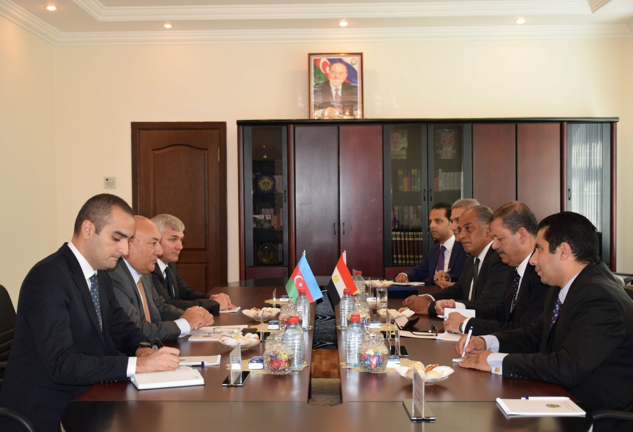 Azerbaijan, Egypt discuss prospects for cooperation in defense industry