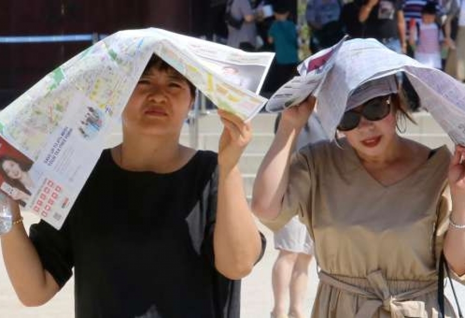 Südkorea: Mindestens 42 Tote wegen Hitze