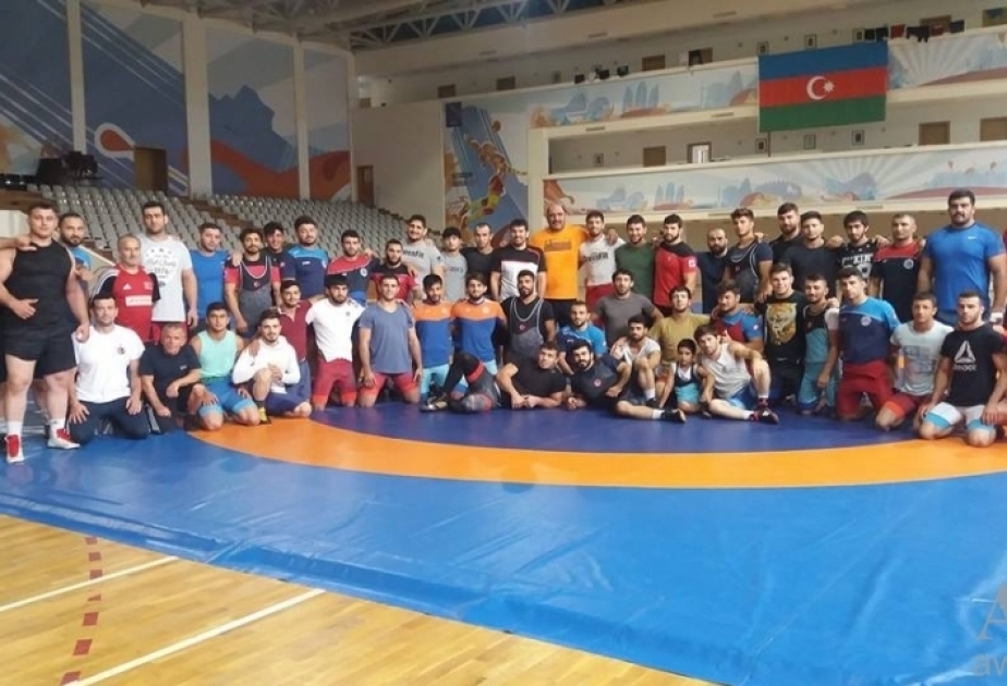 Azerbaijani, Turkish wrestlers having joint training camp in Goygol