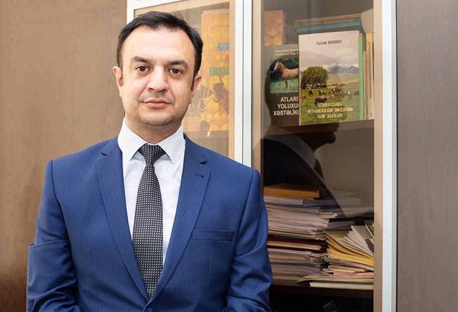 Asəf Ömərov: Əsas məqsədimiz heyvandarlıqda inkişafa intensiv üsullarla nail olmaqdır
