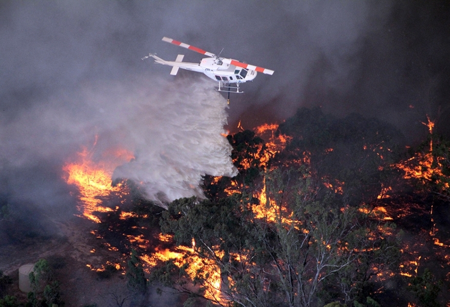 Avstraliyada meşə yanğınlarının söndürülməsində iştirak edən helikopter qəzaya uğrayıb