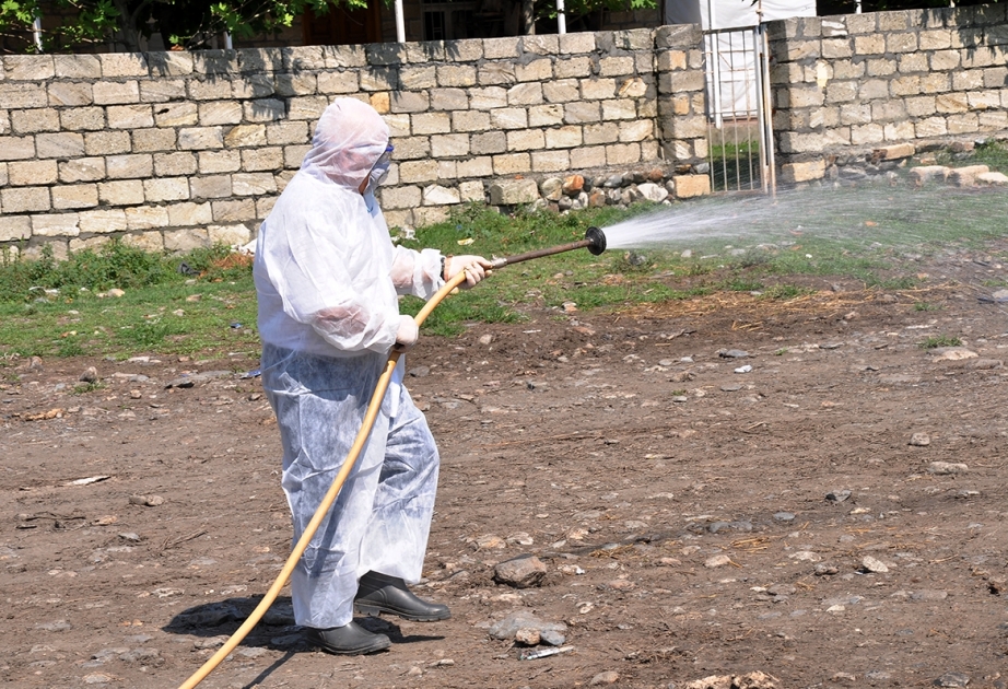 Qurbanlıq diri heyvan satışı aparılan yerlərdə dezinfeksiya işləri başa çatıb
