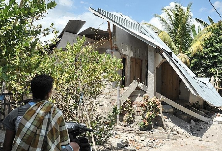 Erdbeben in Indonesien fordern mehr als 480 Tote