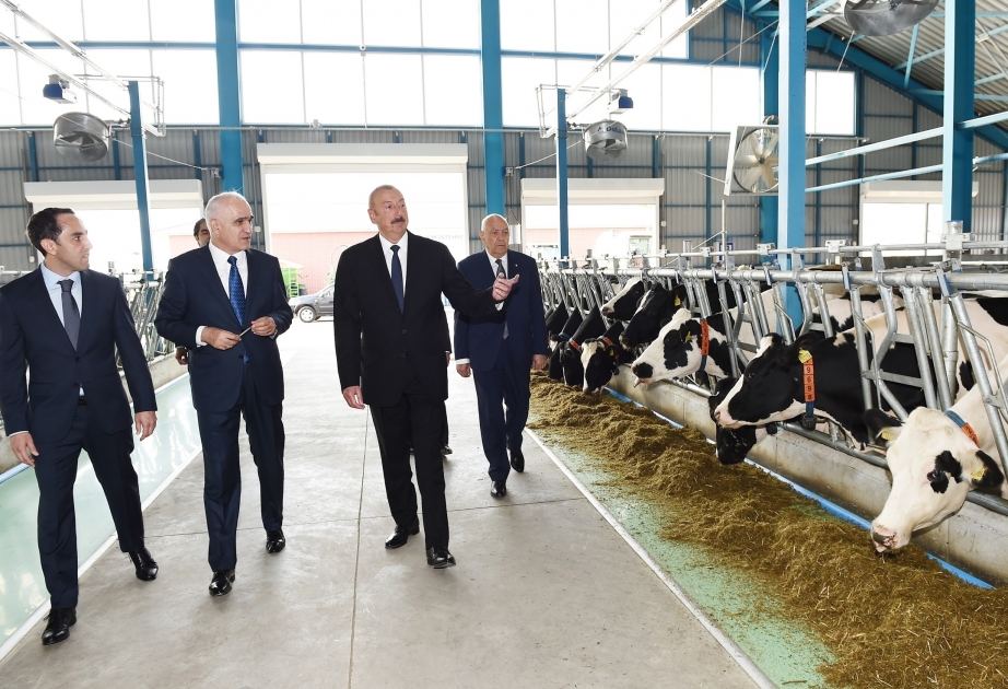 Le président Ilham Aliyev a participé à l'inauguration d'un complexe d'élevage à Ismayilli VIDEO