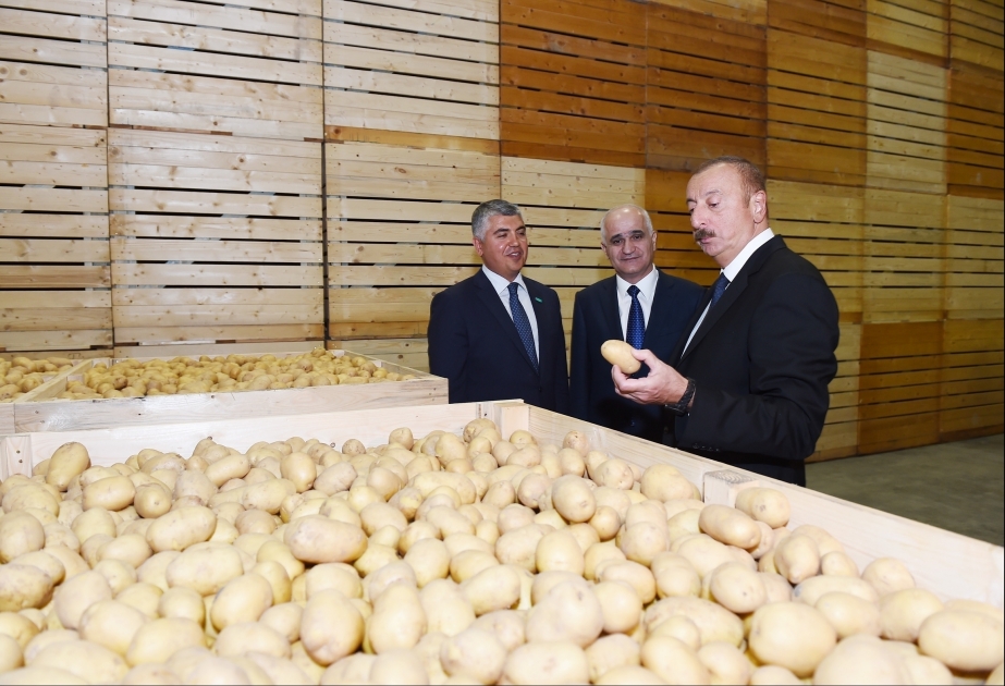 Le président Ilham Aliyev participe à l'inauguration d'un parc agricole à Ismayilli VIDEO