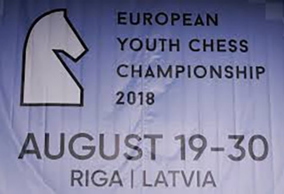 Азербайджанские шахматисты претендуют на призовые места чемпионата Европы
