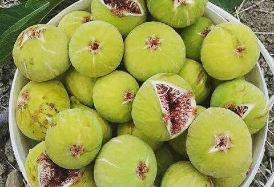 Bir sıra xəstəliklər zamanı əncir yemək yolverilməzdir