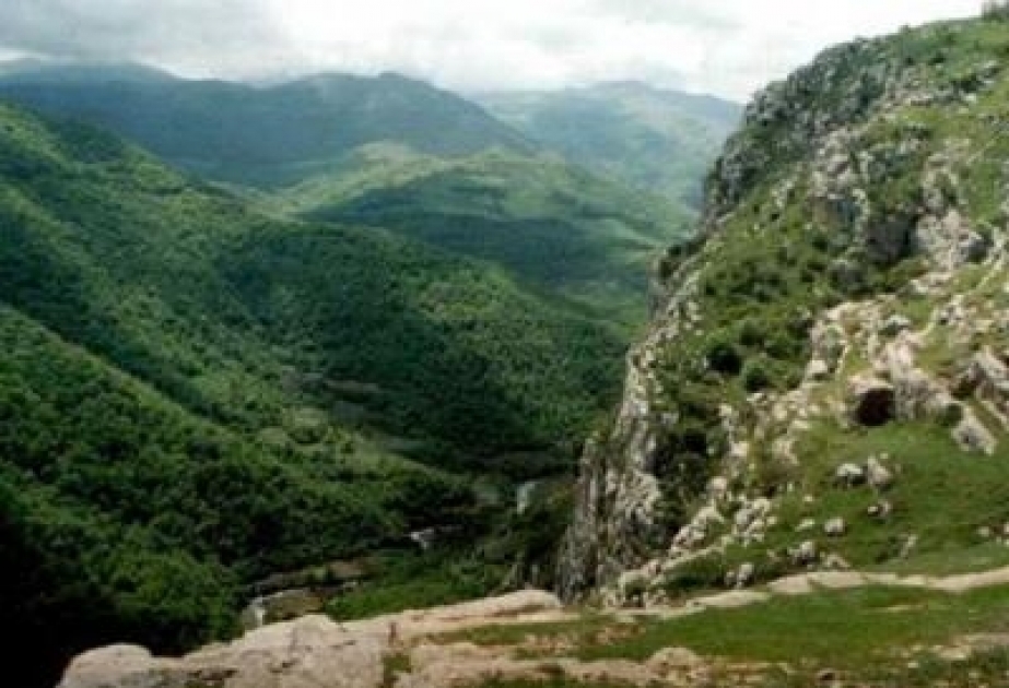 Vaxtilə Qubadlı rayonunda yaşı 1600 il olan üç şərq çinarı ağacı qorunub