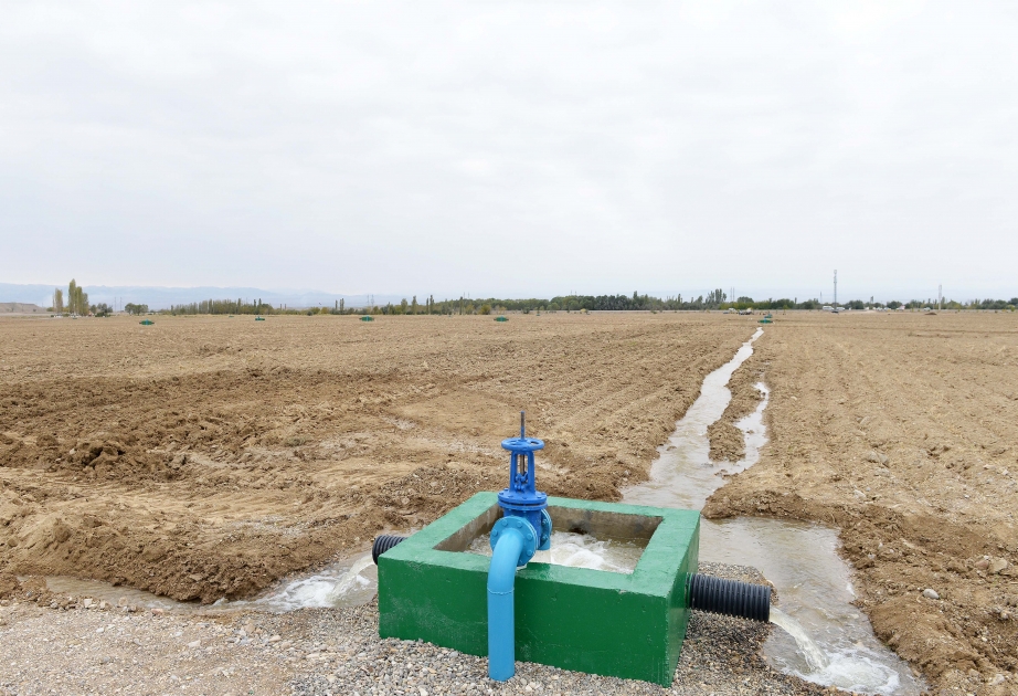 Cəlilabad rayonunda əkin sahələrinin suvarma suyu ilə təminatının yaxşılaşdırılması üçün 4,5 milyon manat ayrılıb