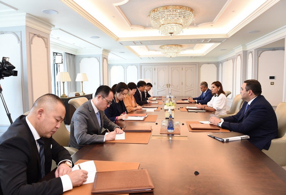 Erste Vizepräsidentin Aserbaidschans Mehriban Aliyeva trifft sich mit chinesischer Delegation