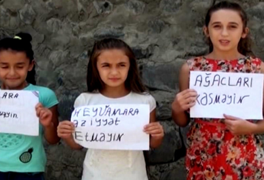 Maarifləndirici aksiyalar ekoloji problemlərin tədricən aradan qalxmasına kömək edə bilər