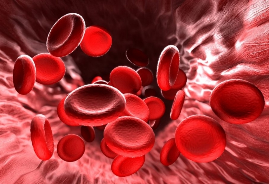 Anemiyanın əlamətləri və profilaktikası