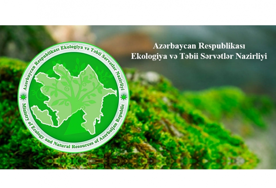 Hərbi hissələrə odun verilməsinə başlanılıb