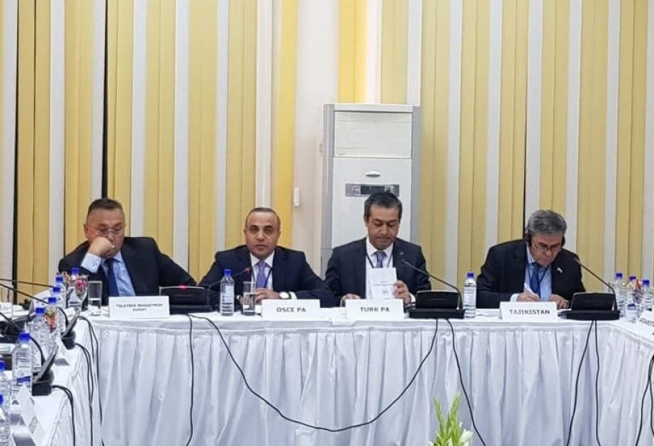 Azay Quliyev: ATƏT-in bütün üzvləri Mərkəzi Asiya ölkələri və Əfqanıstan arasında daha güclü əməkdaşlıq və inteqrasiyanı dəstəkləyir