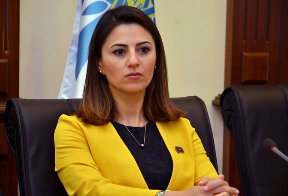 Sevinc Fətəliyeva: Paşinyanın Moskva səfəri Rusiya ilə mövcud gərginliyi aradan qaldırmayıb