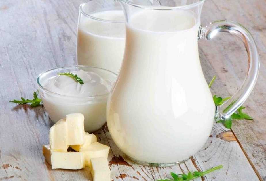 Употребление жирного молока продлевает жизнь