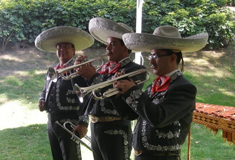 Mexikoda musiqiçi paltarı geyinmiş cinayətkarlar 5 nəfəri qətlə yetiriblər