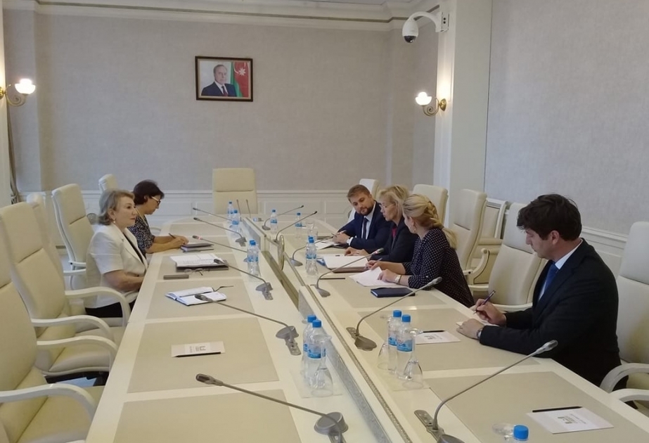 В Милли Меджлисе состоялась встреча с председателем комитета иностранных дел Палаты депутатов Румынии