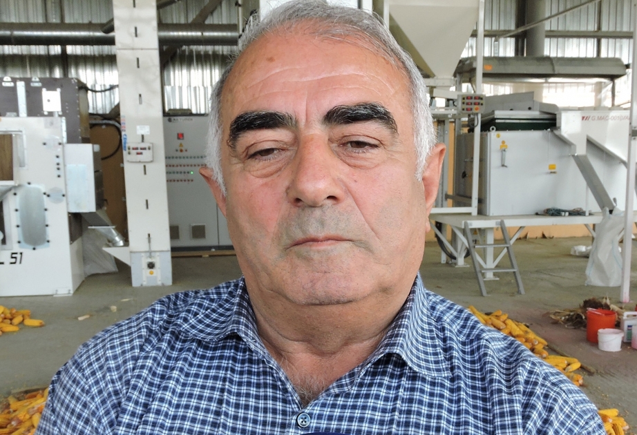 Şəkili fermer: Bölgələrdə müasir toxumtəmizləmə avadanlığının quraşdırılmasına ehtiyac var