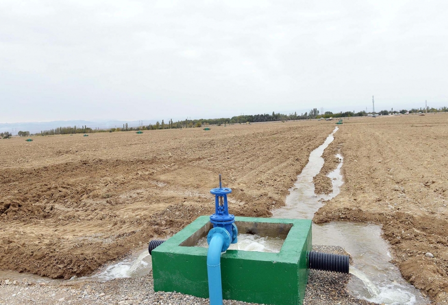Präsident Ilham Aliyev verabschiedet Dekret über Verbesserung des Bewässerungssystems im Rayon Masalli