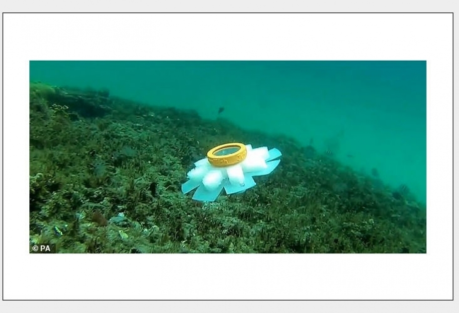 Роботы-медузы помогут морским биологам