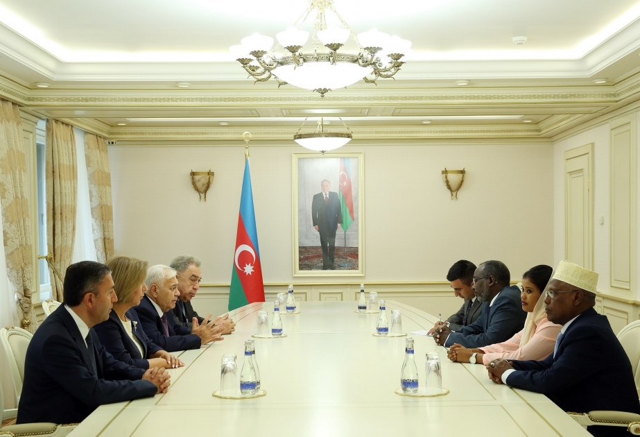 Les relations interparlementaires azerbaïdjano-djiboutiennes au menu des discussions