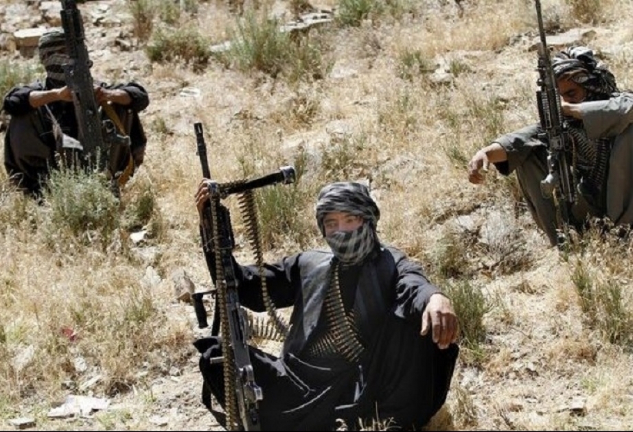 Əfqanıstan hökuməti “Taliban”la birbaşa danışıqlar aparmağa hazırdır