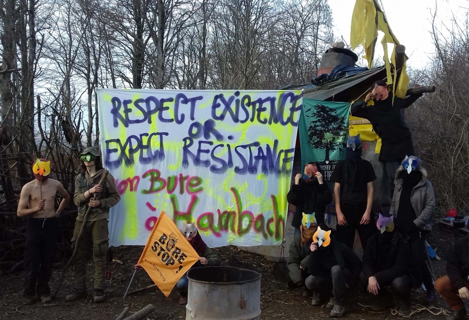 Новая демонстрация экоактивистов в Германии