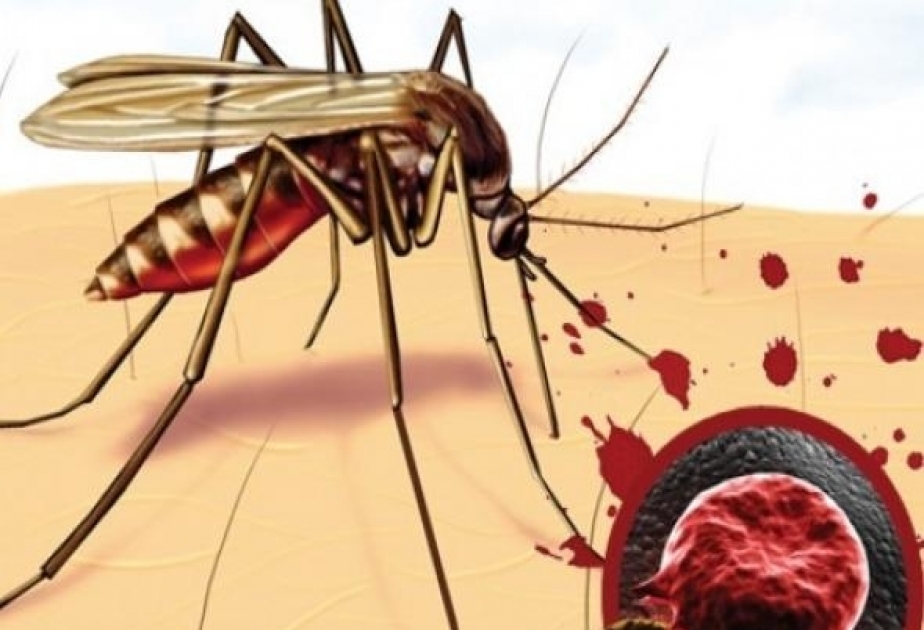 Представлен новый способ борьбы с эпидемиями малярии